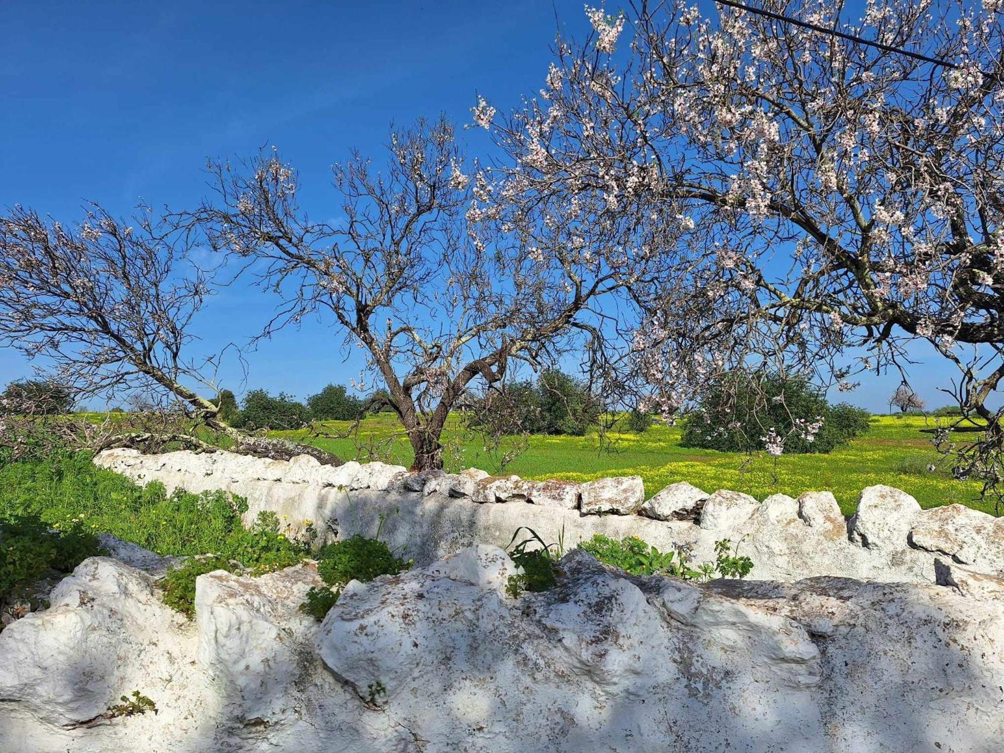 Milagres De Santa Rita Lägenhet Vila Nova de Cacela Exteriör bild
